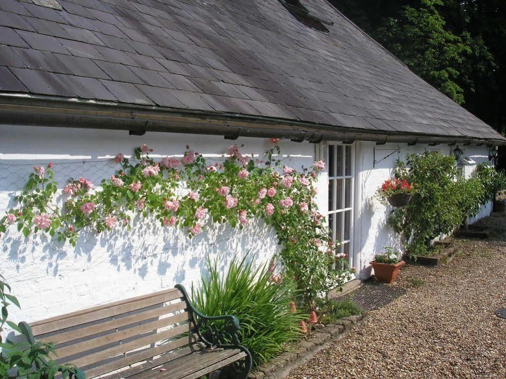 Detling Coachhouse Bed and Breakfast Maidstone Buitenkant foto