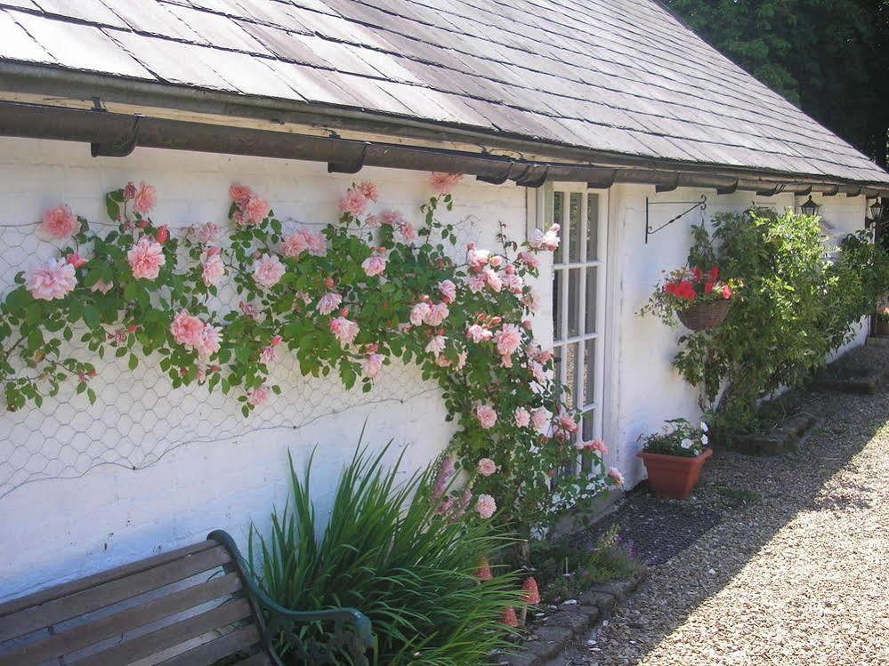 Detling Coachhouse Bed and Breakfast Maidstone Buitenkant foto